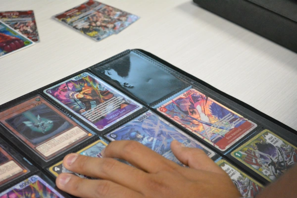 Negozio carte Pokémon e One Piece TCG a Manerbio in provincia di Brescia